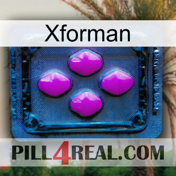 Xforman 04.jpg